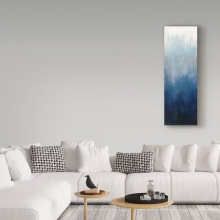 Trademark Fine Art Silvia Vassileva 'Silver Wave I' Canvas Art, 6x19 WAP03240-C619GG